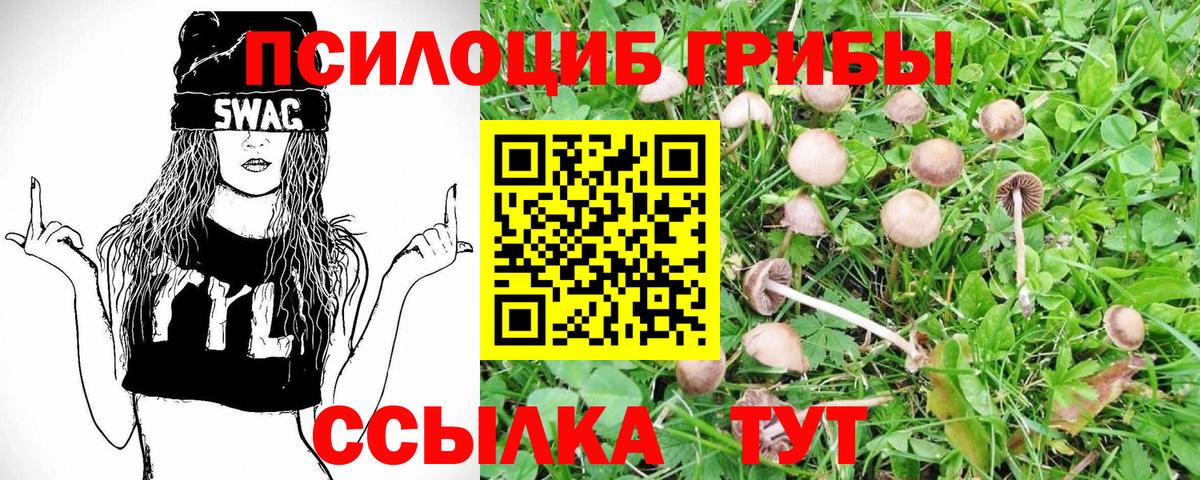 Галлюциногенные грибы GOLDEN TEACHER  Вход с VPN  наркота  Галлюциногенные грибы ЛСД  Воронеж 