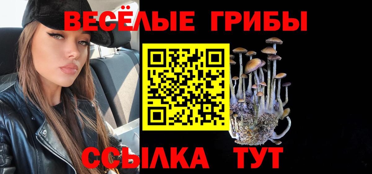 Галлюциногенные грибы ЛСД Воронеж